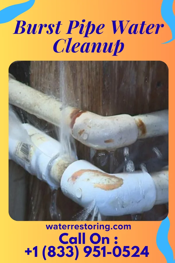 Burst Pipe Water Cleanup in Bristol, TN