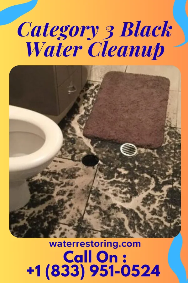 Category 3 Black Water Cleanup in Bristol, TN