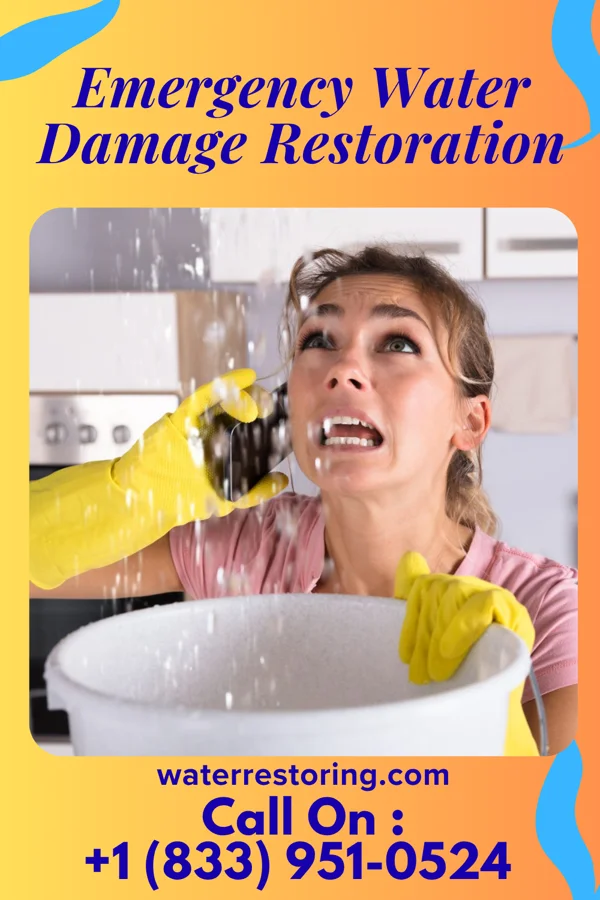Emergency Water Damage Restoration in Bristol, TN
