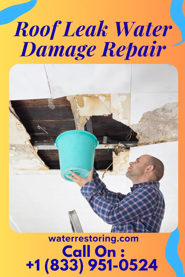 Roof Leak Water Damage Repair in Bristol, TN