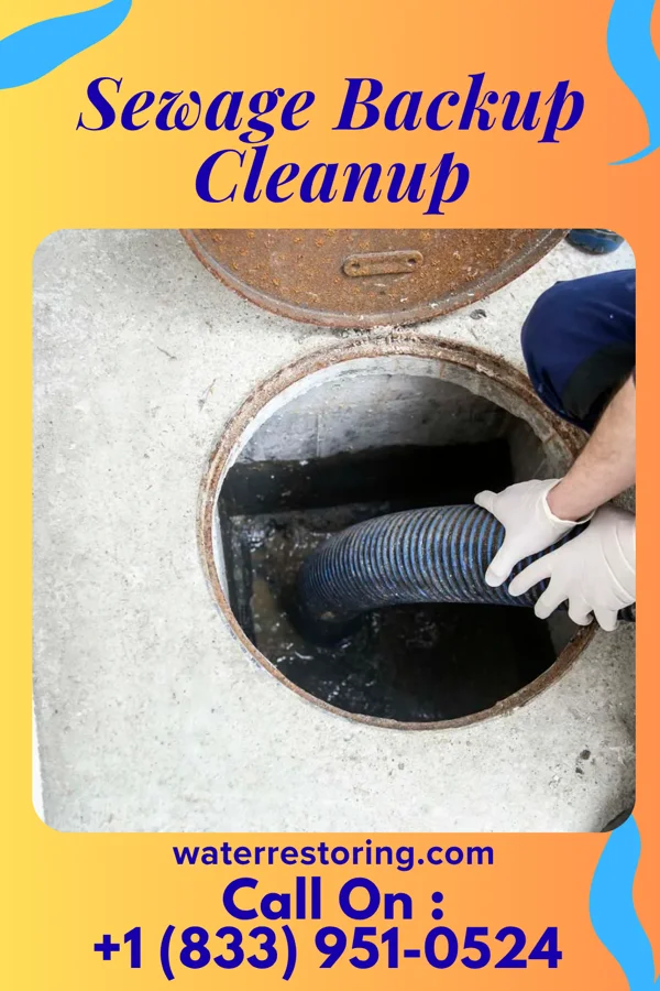 Sewage Backup Cleanup in Bristol, TN