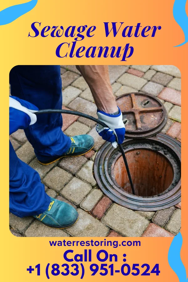 Sewage Water Cleanup in Bristol, TN